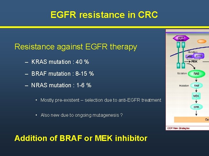 EGFR resistance in CRC Resistance against EGFR therapy – KRAS mutation : 40 EGFR resistance in CRC Resistance against EGFR therapy – KRAS mutation : 40