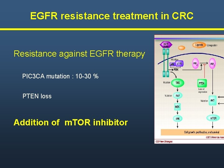 EGFR resistance treatment in CRC Resistance against EGFR therapy PIC 3 CA mutation : EGFR resistance treatment in CRC Resistance against EGFR therapy PIC 3 CA mutation :