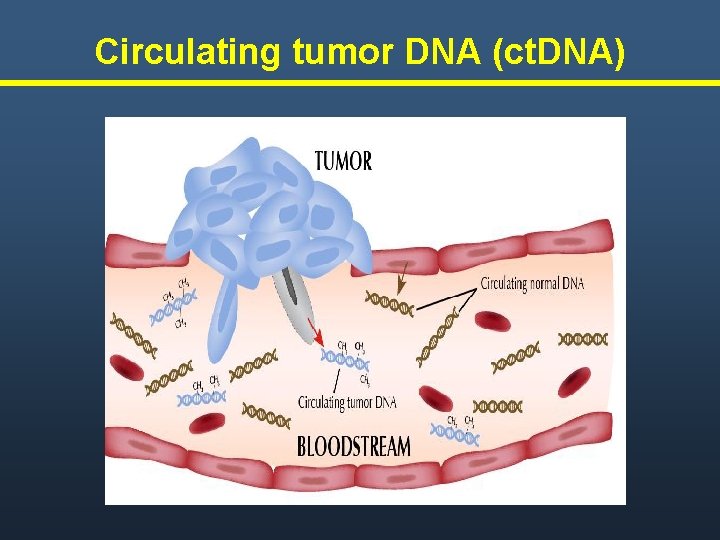 Circulating tumor DNA (ct. DNA) Circulating tumor DNA (ct. DNA)