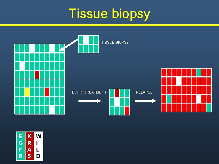 Tissue biopsy TISSUE BIOPSY EGFR TREATMENT E G F R K R A S Tissue biopsy TISSUE BIOPSY EGFR TREATMENT E G F R K R A S