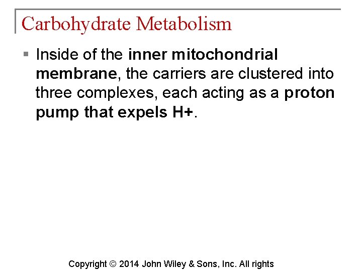 Carbohydrate Metabolism § Inside of the inner mitochondrial membrane, the carriers are clustered into