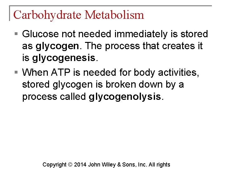 Carbohydrate Metabolism § Glucose not needed immediately is stored as glycogen. The process that