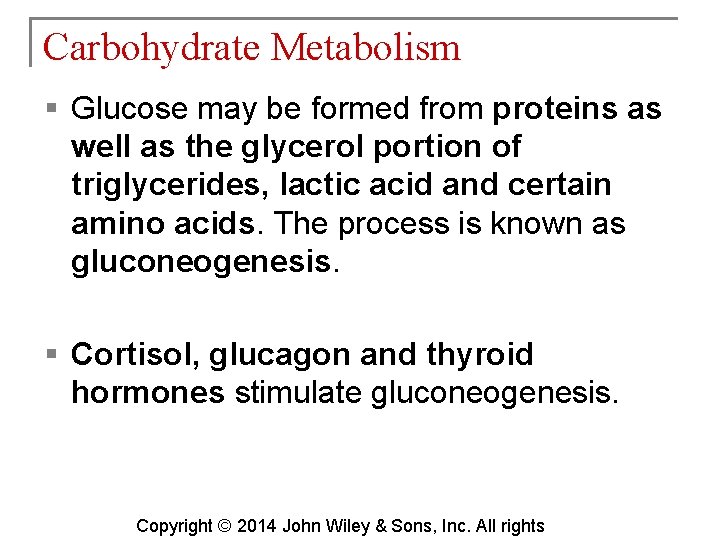 Carbohydrate Metabolism § Glucose may be formed from proteins as well as the glycerol