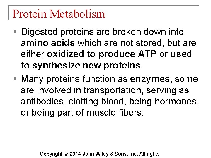 Protein Metabolism § Digested proteins are broken down into amino acids which are not