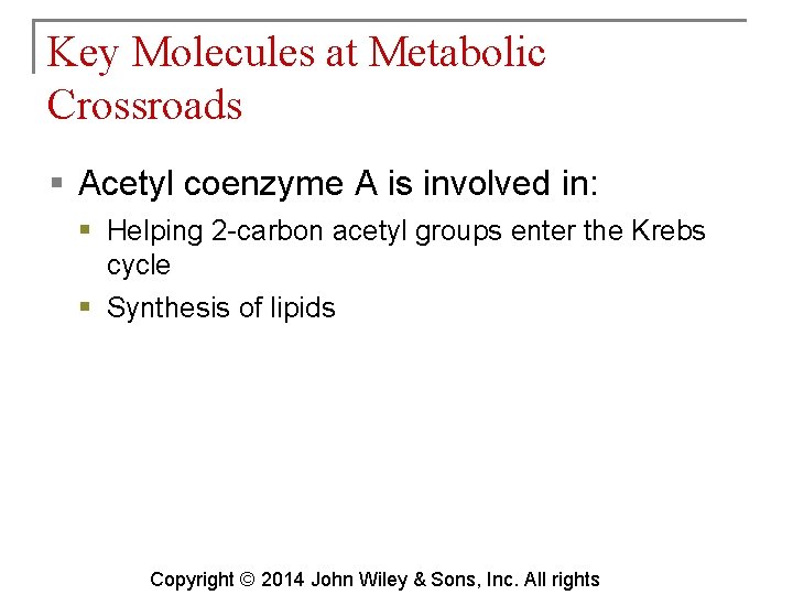 Key Molecules at Metabolic Crossroads § Acetyl coenzyme A is involved in: § Helping