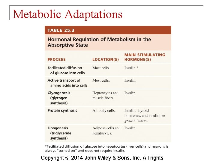 Metabolic Adaptations Copyright © 2014 John Wiley & Sons, Inc. All rights 