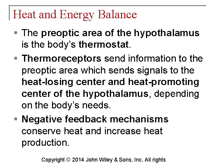 Heat and Energy Balance § The preoptic area of the hypothalamus is the body’s