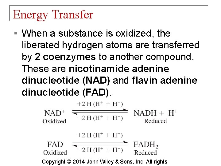 Energy Transfer § When a substance is oxidized, the liberated hydrogen atoms are transferred