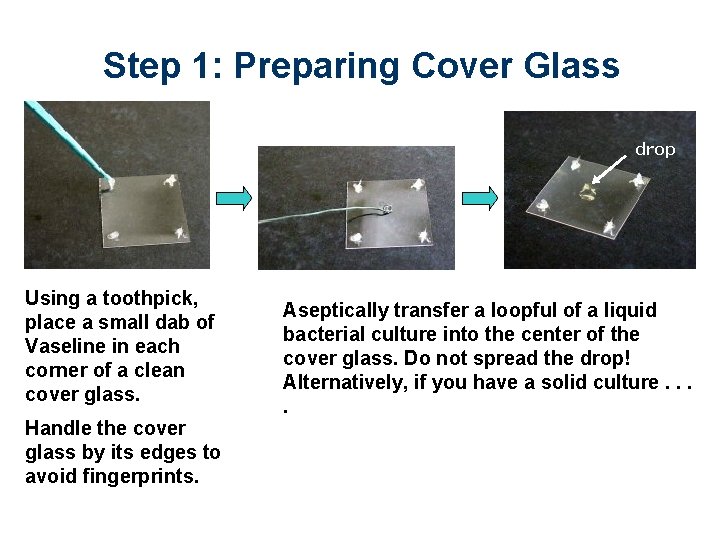 Step 1: Preparing Cover Glass Using a toothpick, place a small dab of Vaseline