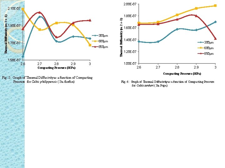 2. 00 E-07 1. 90 E-07 300µm 600µm 1. 70 E-07 850µm 1. 50 2. 00 E-07 1. 90 E-07 300µm 600µm 1. 70 E-07 850µm 1. 50