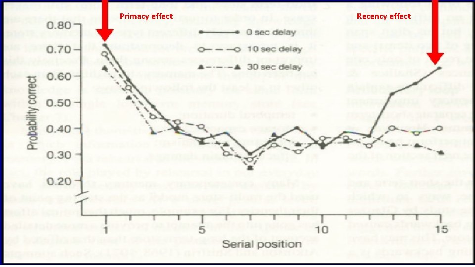 Primacy effect Recency effect 