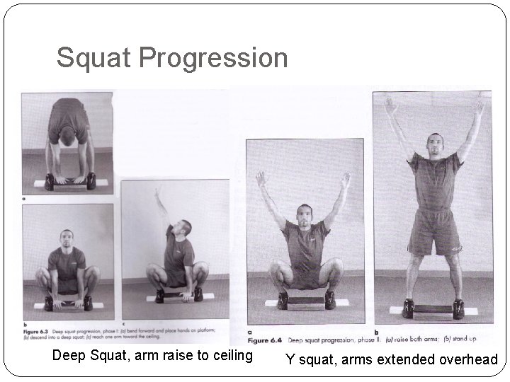 Squat Progression Deep Squat, arm raise to ceiling Y squat, arms extended overhead 