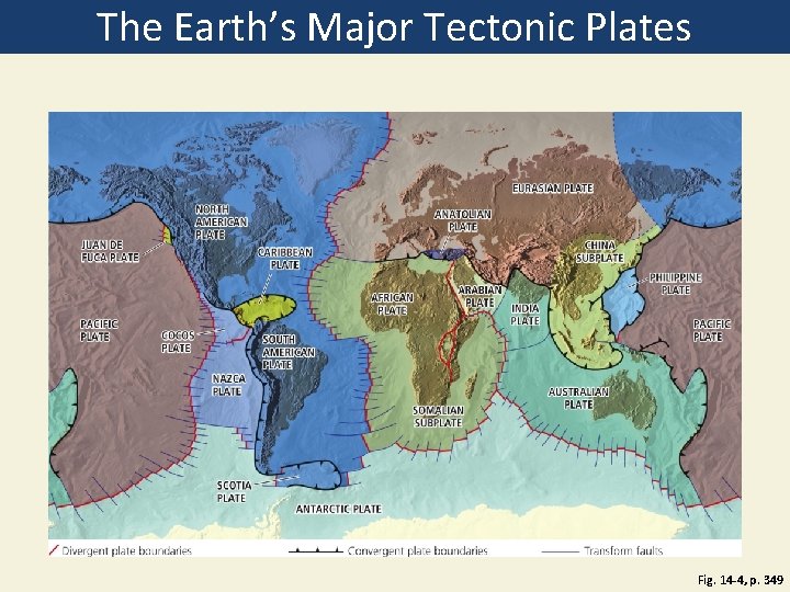 The Earth’s Major Tectonic Plates Fig. 14 -4, p. 349 