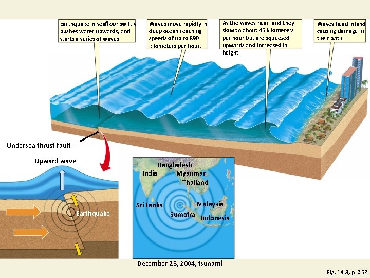 Earthquake in seafloor swiftly pushes water upwards, and starts a series of waves Waves