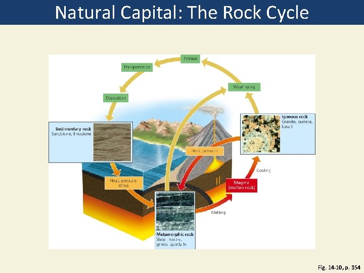 Natural Capital: The Rock Cycle Fig. 14 -10, p. 354 
