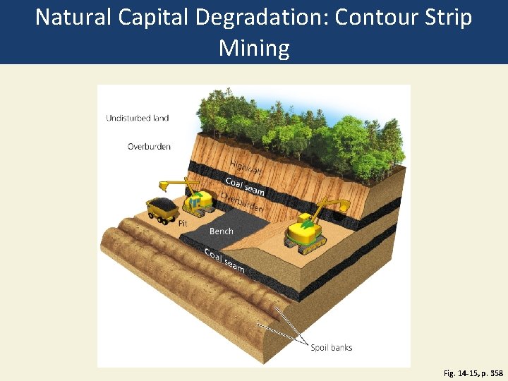 Natural Capital Degradation: Contour Strip Mining Fig. 14 -15, p. 358 