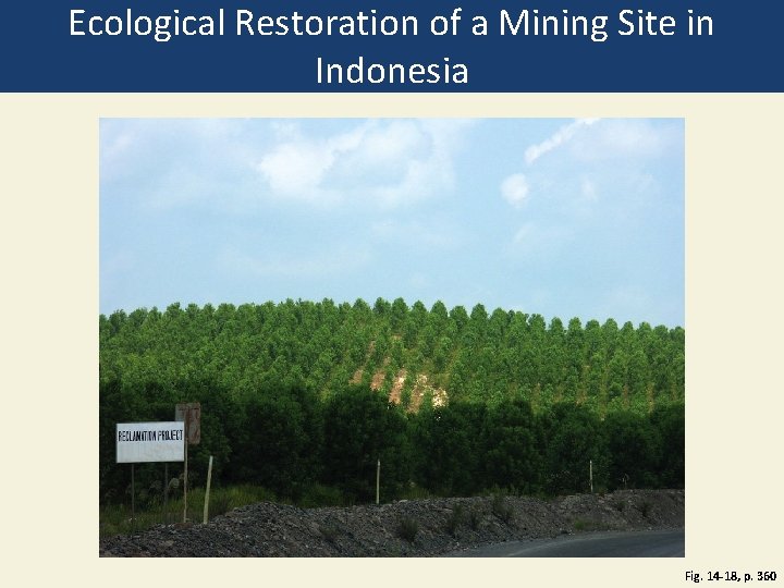 Ecological Restoration of a Mining Site in Indonesia Fig. 14 -18, p. 360 