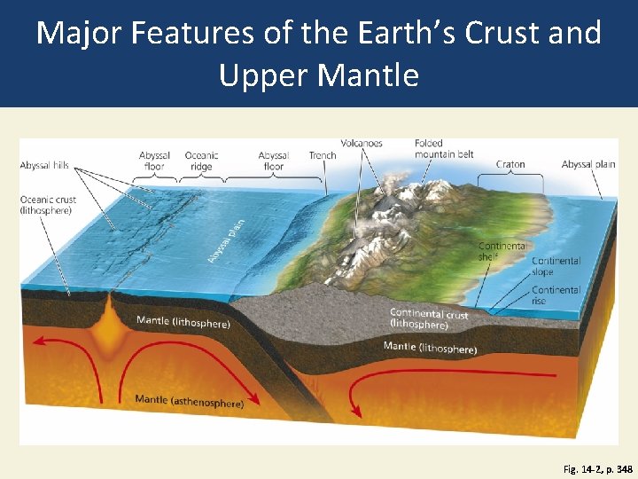 Major Features of the Earth’s Crust and Upper Mantle Fig. 14 -2, p. 348