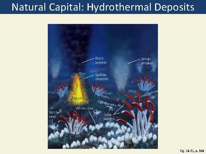 Natural Capital: Hydrothermal Deposits Fig. 14 -21, p. 364 