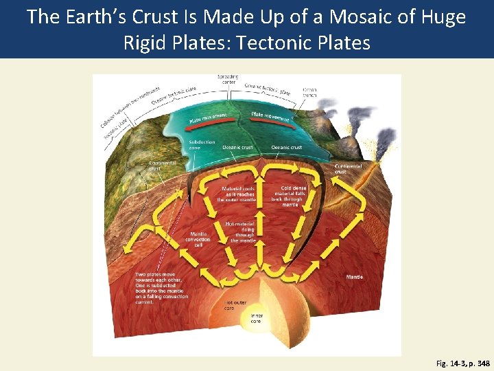 The Earth’s Crust Is Made Up of a Mosaic of Huge Rigid Plates: Tectonic