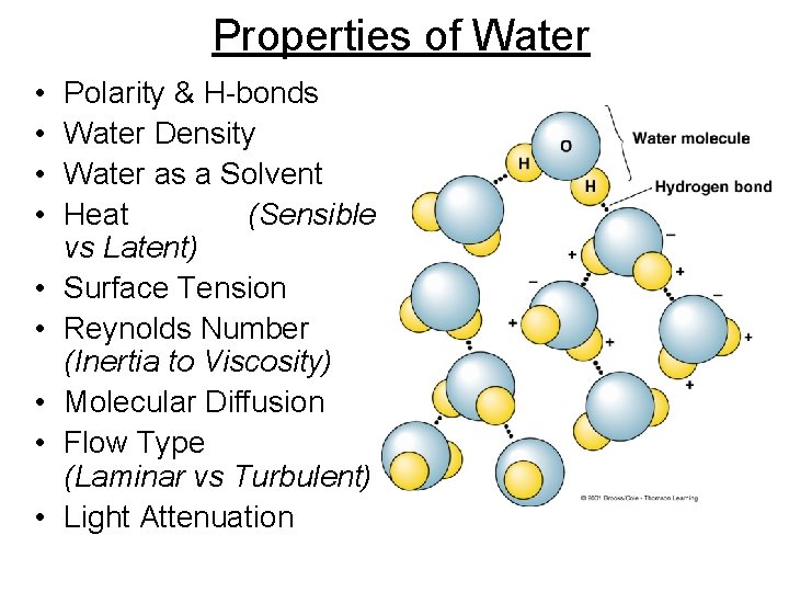 Properties of Water • • • Polarity & H-bonds Water Density Water as a Properties of Water • • • Polarity & H-bonds Water Density Water as a