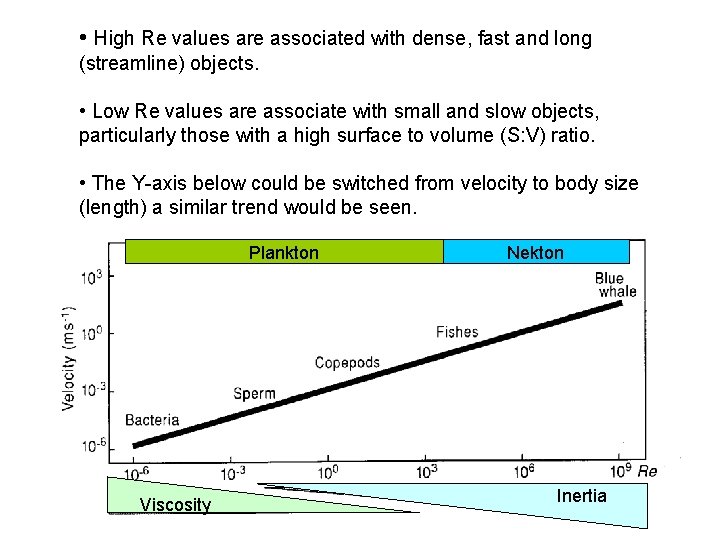 • High Re values are associated with dense, fast and long (streamline) objects. • High Re values are associated with dense, fast and long (streamline) objects.