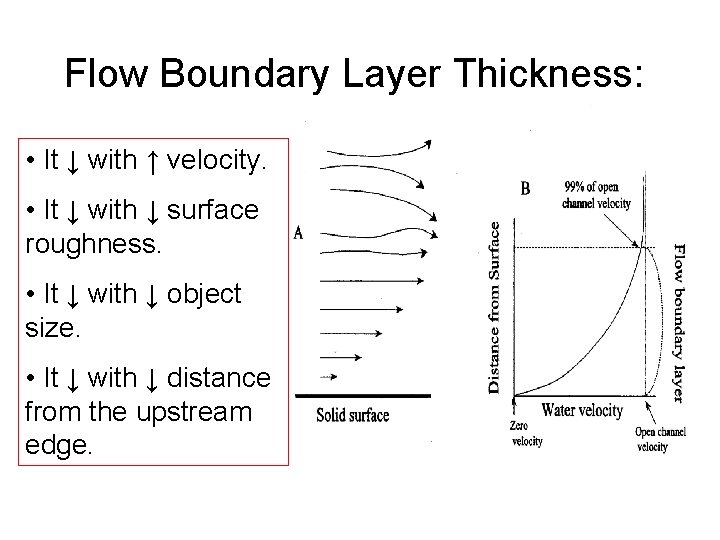 Flow Boundary Layer Thickness: • It ↓ with ↑ velocity. • It ↓ with Flow Boundary Layer Thickness: • It ↓ with ↑ velocity. • It ↓ with