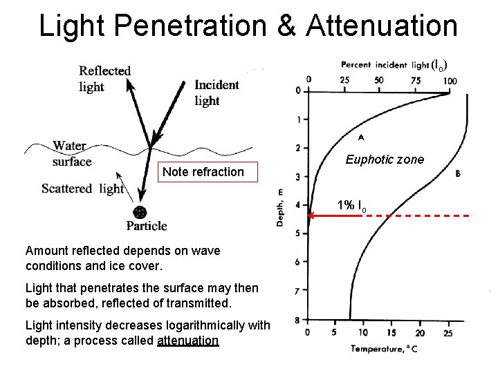 Light Penetration & Attenuation (Io) Note refraction Euphotic zone 1% Io Amount reflected depends Light Penetration & Attenuation (Io) Note refraction Euphotic zone 1% Io Amount reflected depends