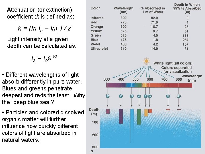 Attenuation (or extinction) coefficient (k is defined as: k = (ln Io – ln. Attenuation (or extinction) coefficient (k is defined as: k = (ln Io – ln.