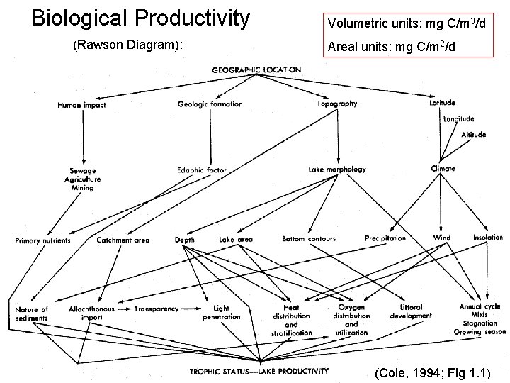 Biological Productivity (Rawson Diagram): Volumetric units: mg C/m 3/d Areal units: mg C/m 2/d Biological Productivity (Rawson Diagram): Volumetric units: mg C/m 3/d Areal units: mg C/m 2/d