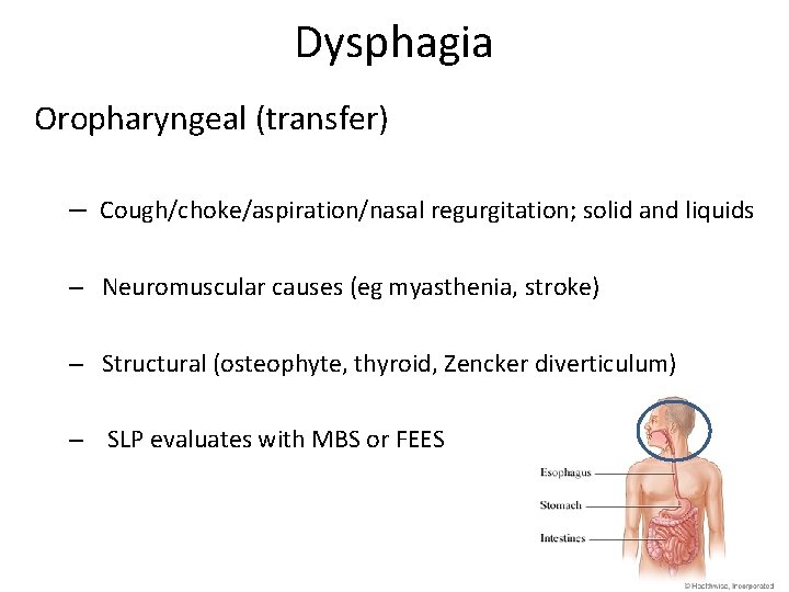 Dysphagia Oropharyngeal (transfer) – Cough/choke/aspiration/nasal regurgitation; solid and liquids – Neuromuscular causes (eg myasthenia,