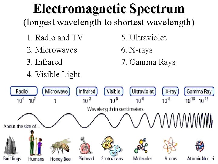 Electromagnetic Spectrum (longest wavelength to shortest wavelength) 1. Radio and TV 2. Microwaves 3.