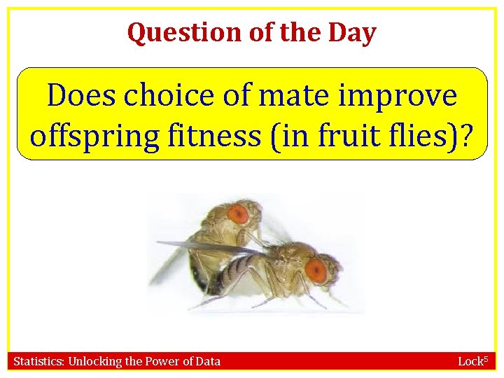 Question of the Day Does choice of mate improve offspring fitness (in fruit flies)?