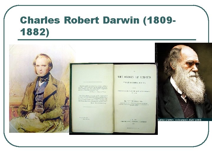 Charles Robert Darwin (18091882) 