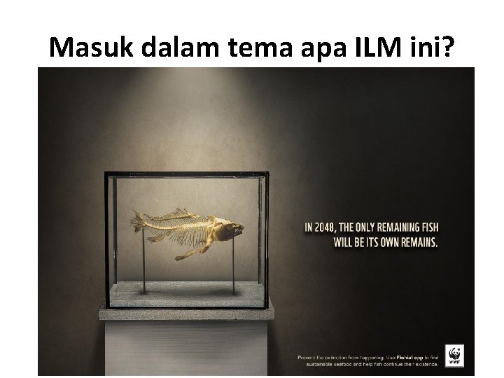 Masuk dalam tema apa ILM ini? 