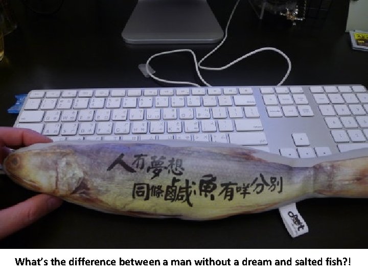 What’s the difference between a man without a dream and salted fish? ! 
