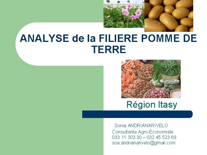 ANALYSE de la FILIERE POMME DE TERRE Région Itasy Sonia ANDRIANARIVELO Consultante Agro-Economiste 033