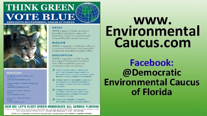 www. Environmental Caucus. com Facebook: @Democratic Environmental Caucus of Florida 