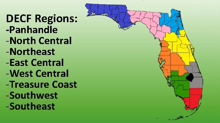 DECF Regions: -Panhandle -North Central -Northeast -East Central -West Central -Treasure Coast -Southwest -Southeast