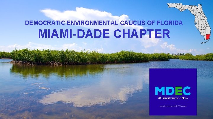 DEMOCRATIC ENVIRONMENTAL CAUCUS OF FLORIDA MIAMI-DADE CHAPTER 