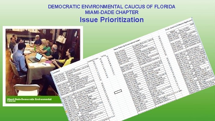 DEMOCRATIC ENVIRONMENTAL CAUCUS OF FLORIDA MIAMI-DADE CHAPTER Issue Prioritization 