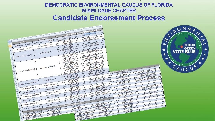 DEMOCRATIC ENVIRONMENTAL CAUCUS OF FLORIDA MIAMI-DADE CHAPTER Candidate Endorsement Process 