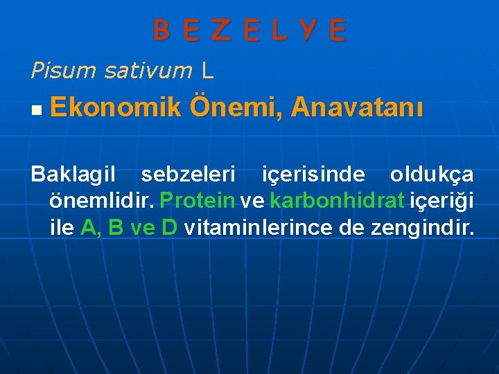 B E Z E L Y E Pisum sativum L n Ekonomik Önemi, Anavatanı