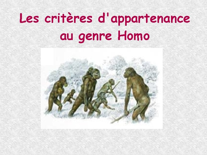 Les critères d'appartenance au genre Homo 