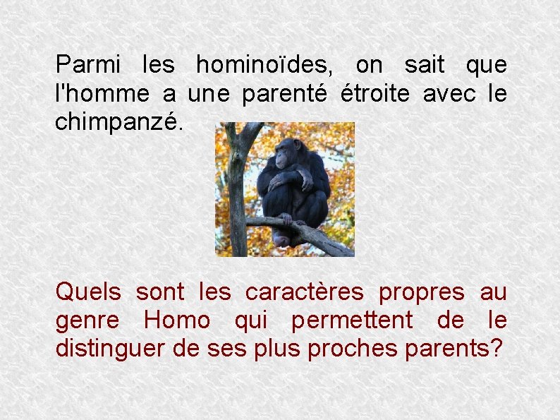 Parmi les hominoïdes, on sait que l'homme a une parenté étroite avec le chimpanzé.
