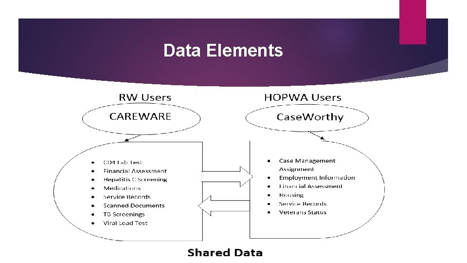 Data Elements 