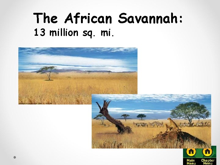 The African Savannah: 13 million sq. mi. 
