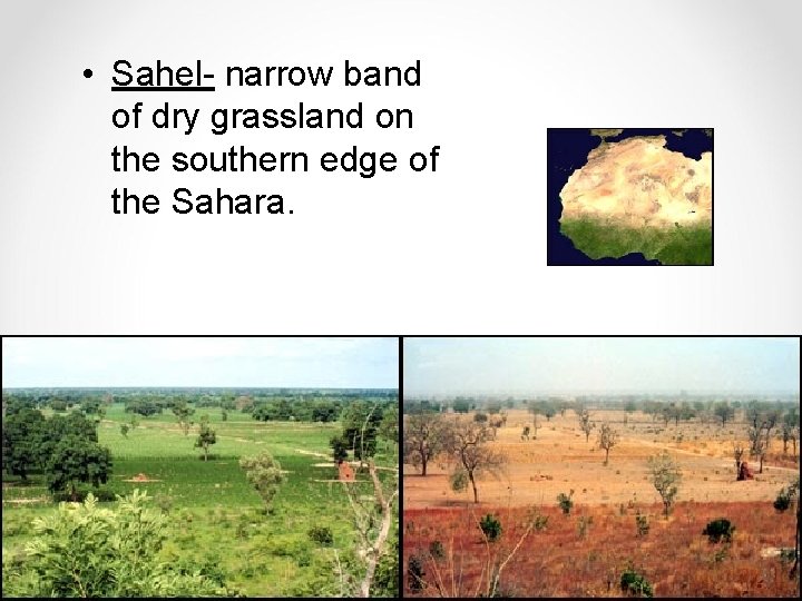  • Sahel- narrow band of dry grassland on the southern edge of the