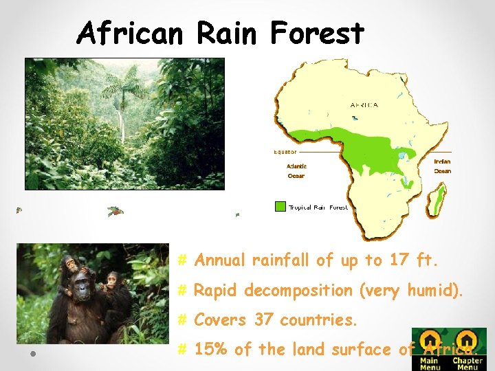 African Rain Forest # Annual rainfall of up to 17 ft. # Rapid decomposition