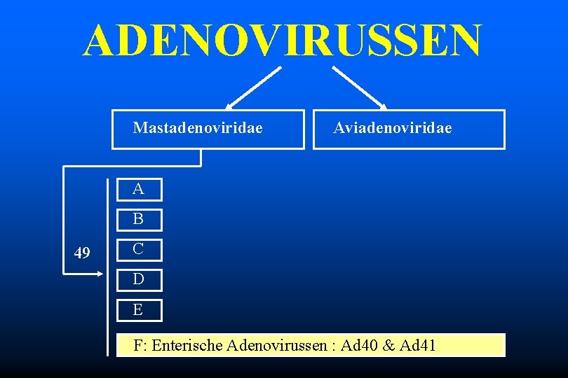 ADENOVIRUSSEN Mastadenoviridae Aviadenoviridae A B 49 C D E F: Enterische Adenovirussen : Ad